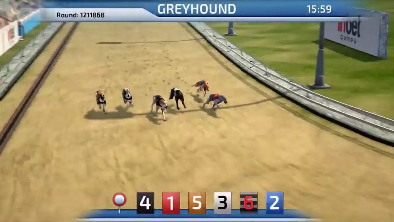 The Impact of Live Streaming on Greyhound Race Betting